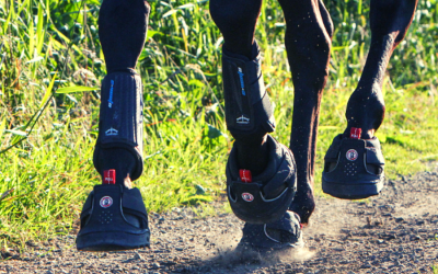 Trekking patacipő részletes ismertető
